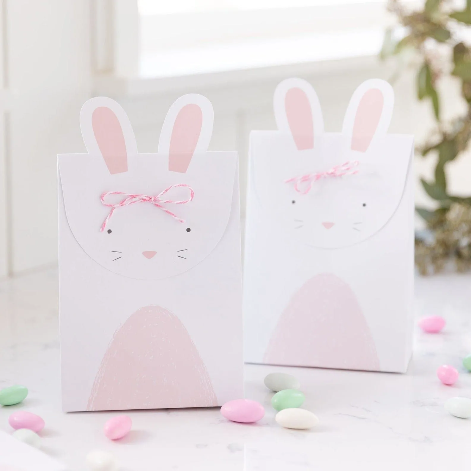 Easter Bunny Treat Bags x 12